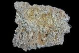 Plate Of Gemmy, Chisel Tipped Barite Crystals - Mexico #84430-2